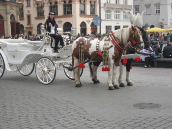 Polska_2015-8