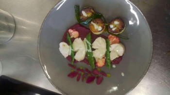 KURS NOWOCZESNE TECHNOLOGIE W GASTRONOMII (3)