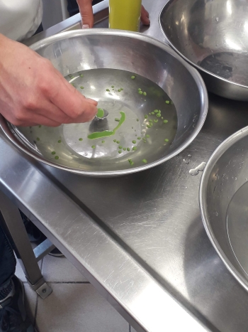 KURS NOWOCZESNE TECHNOLOGIE W GASTRONOMII (8)