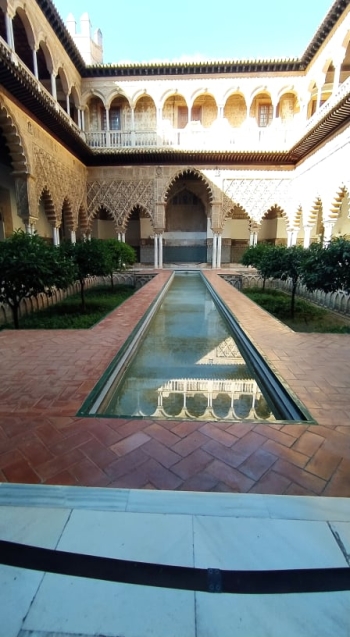 Kształcenie i szkolenie zawodowe (5)