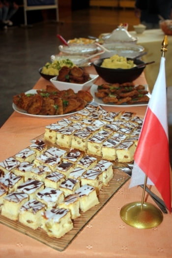 Międzynarodowe spotkanie projektowe w Rybniku (4)