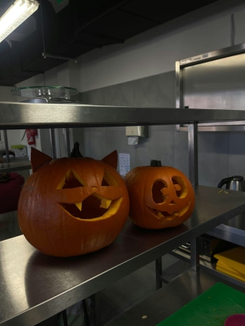 1000061401
