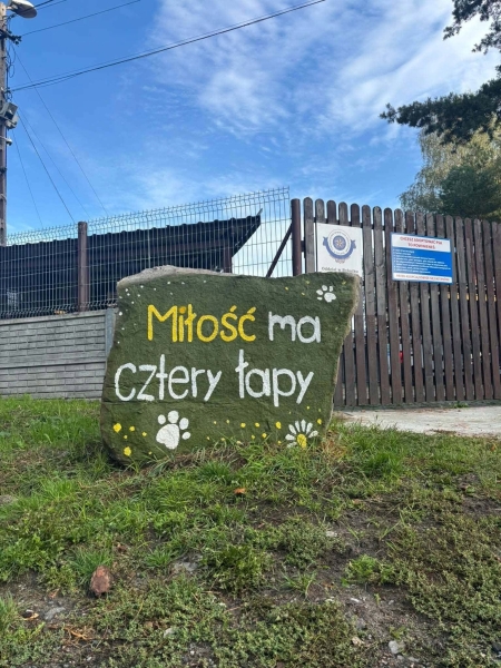 Klasy piąte z pomocą dla schroniska