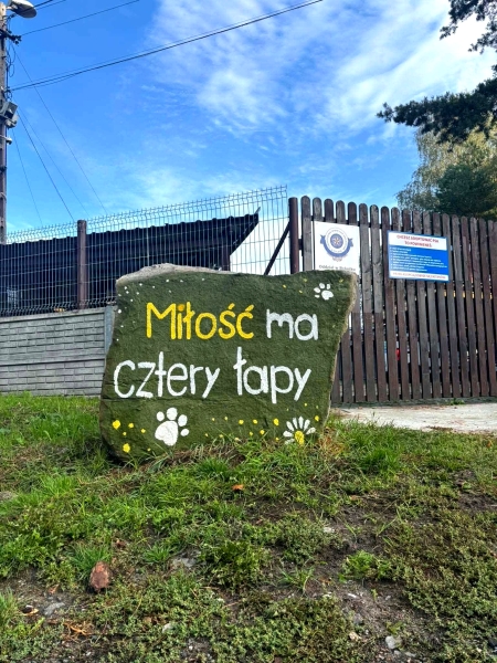 Wielkie serca naszych piątoklasistów – pomoc dla rybnickiego schroniska